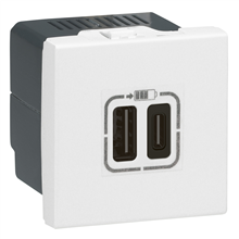 Legrand Mosaic USB-lader type C 2 modules wit - 077590