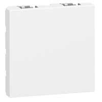 Legrand Mosaic blindplaat 2 modules 077071