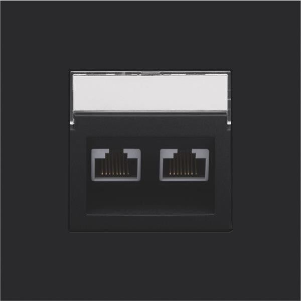 Niko Centraalplaat 2x RJ45 STP cat.6 schuin met doorzichtig tekstveld zwart 161-65400