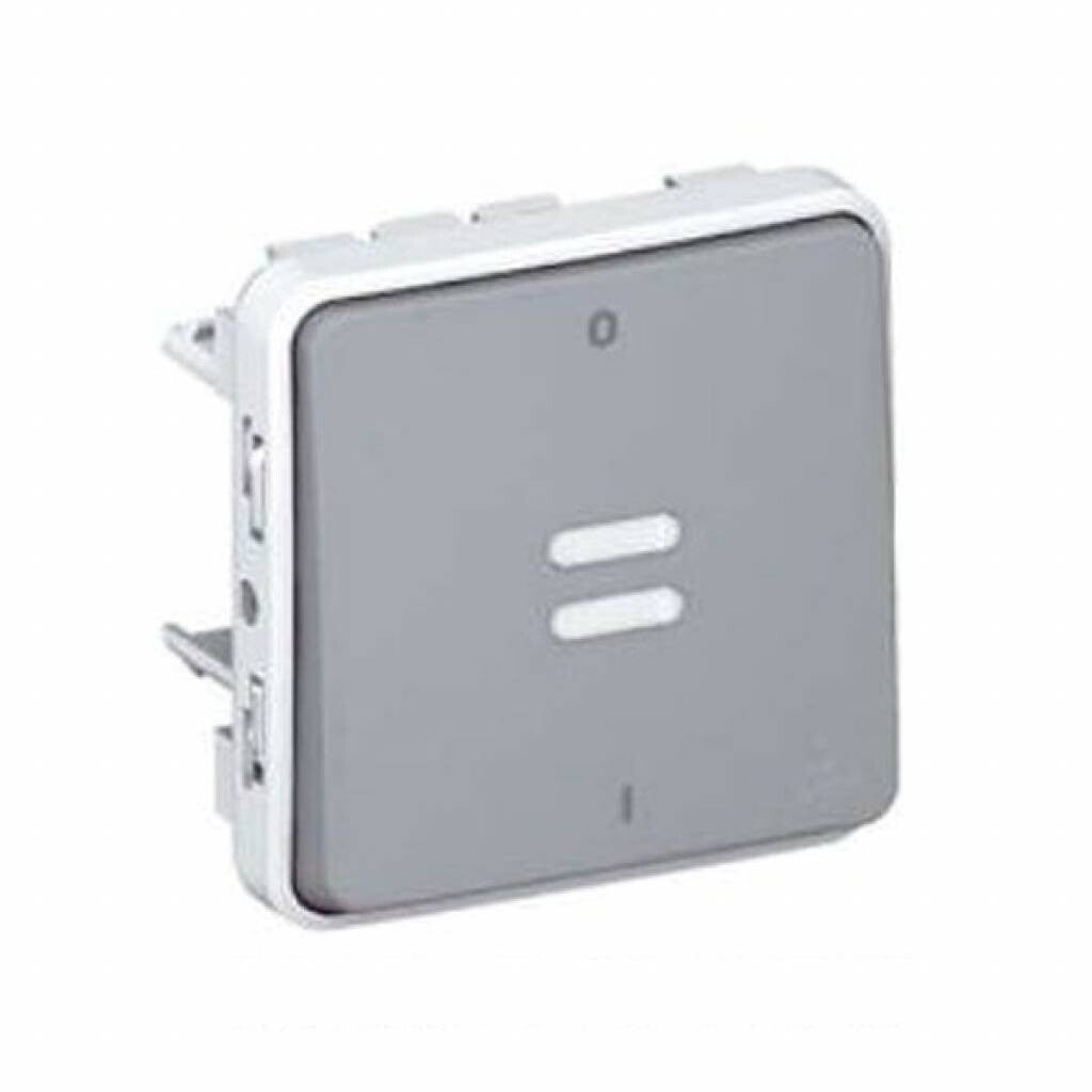 Legrand Plexo Tweepolige verlichte schakelaar 69531