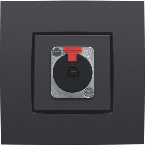 NIKO Centraalplaat voor XLR/JACK-aansluiting antraciet  122-69856
