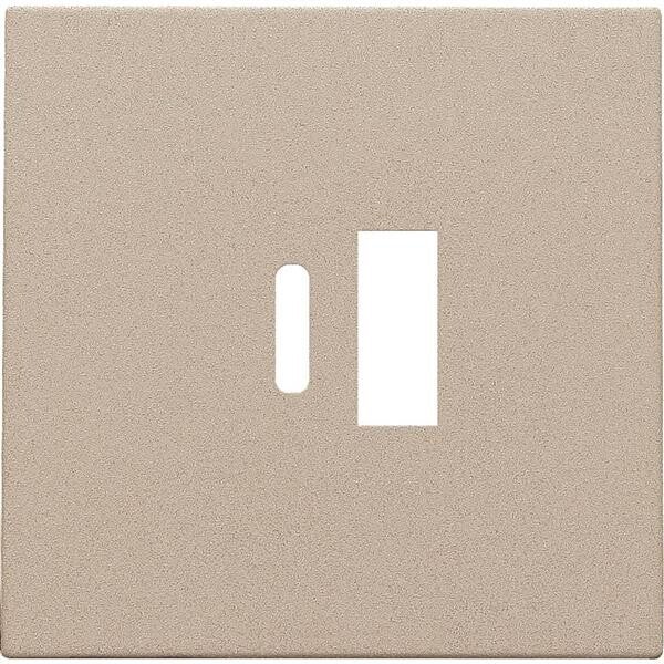 Niko Centraalplaat voor smart USB-A en USB-C-lader champagne 157-68002