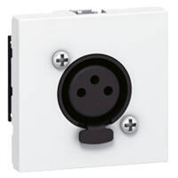 Legrand Mosaic contactdoos XLR driepolig - Neutrik vrouwelijk - 2 mod - wit - 078755