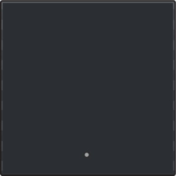 Niko Afwerkingsset met lens voor elektronische slimme schakelaar black coated 161-32002