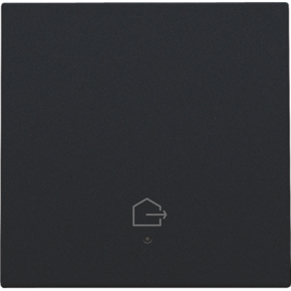Niko Afwerkingsset met lens voor geconnecteerde enkelvoudige schakelaar met symbool "woning verlaten", black coated 161-32902