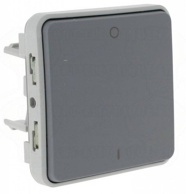 Legrand Plexo Tweepolige schakelaar 69530
