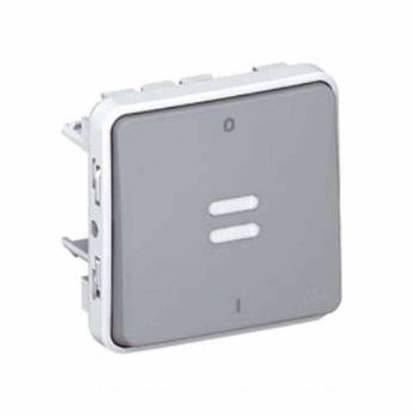 Legrand Plexo Tweepolige verlichte schakelaar 69531