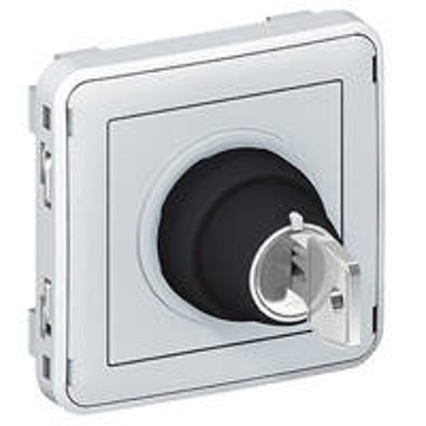 Legrand Plexo Sleutelschakelaar 3A -250V -Ronis N° 455 69534