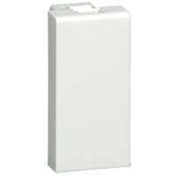 Legrand Mosaic blindplaat 1 module 077070