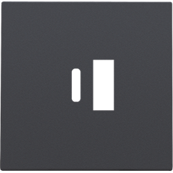 Niko Afwerkingsset smart USB-A en USB-C-lader, Antraciet - 122-68002