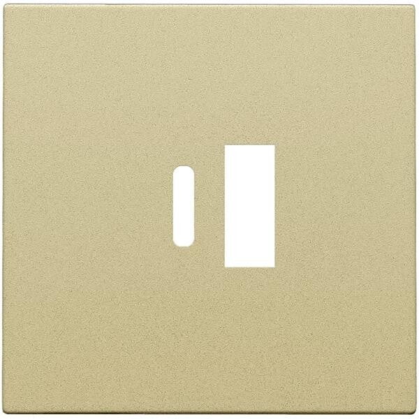 Niko Centraalplaat voor smart USB-A en USB-C-lader goud 221-68002