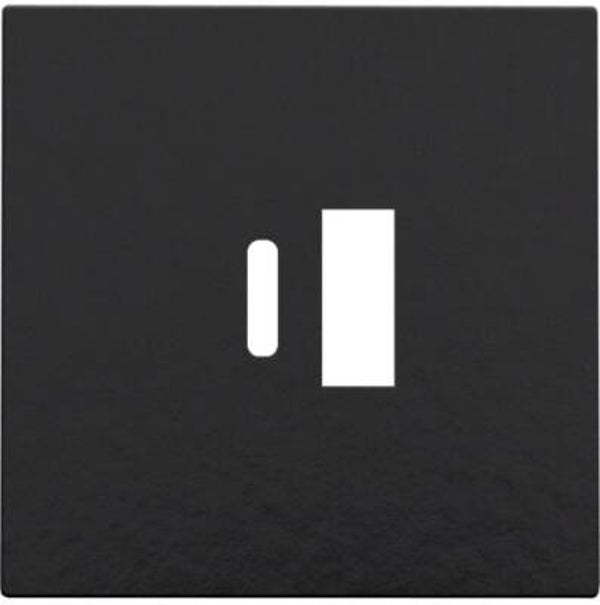 Niko Afwerking USB-A - USB-C- Piano Black- 200-68002