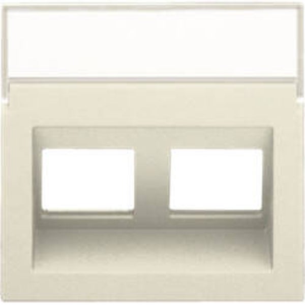 Niko Centraalplaat data 2x RJ schuine uitgang Cream 100-6540