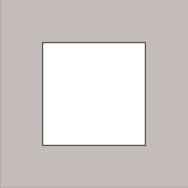Niko Enkele afdekplaat, kleur Pure champagne steel Niko 157-76100