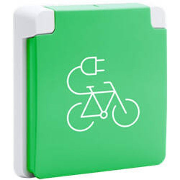 Niko Fietsoplaadpunt 16 A/250 Vac met groene beschermklep Grijs - 700-36675
