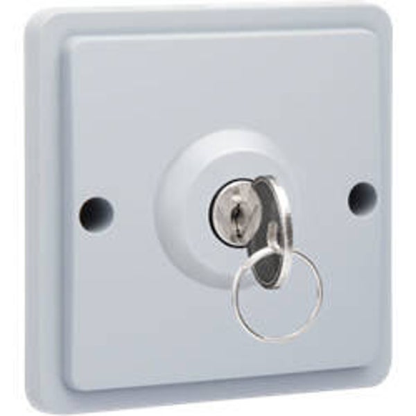 Niko Hydro Sleutelschakelaar 10 A Grijs - 700-38700