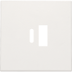 Niko Afwerkingsset smart USB-A en USB-C-lader white coated 154-68002