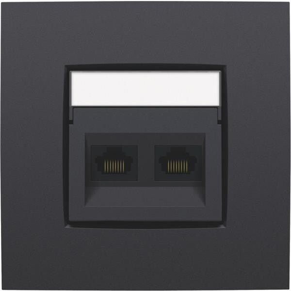 NIKO Centraalplaat 2x RJ45 STP cat.6 schuin met doorzichtig tekstveld antraciet 122-65400