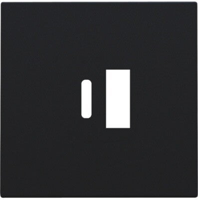Niko Afwerkings smart USB-A en USB-C-lader Zwart 161-68002