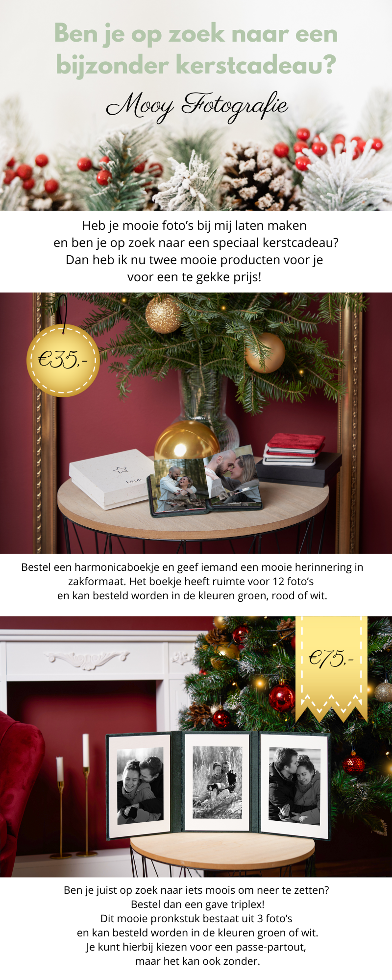 winactie kleurenpoedershoot