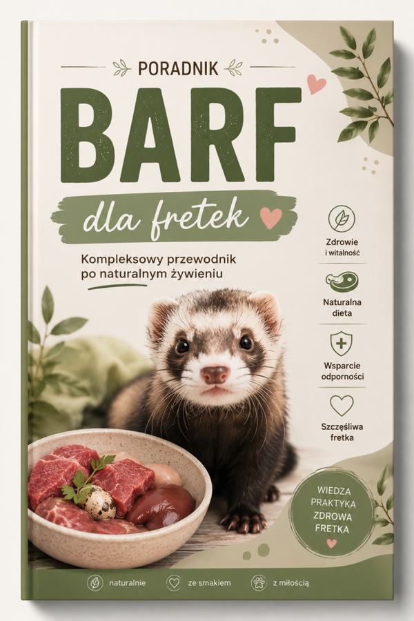 Jak żywić fretkę? Kompleksowy Poradnik BARF