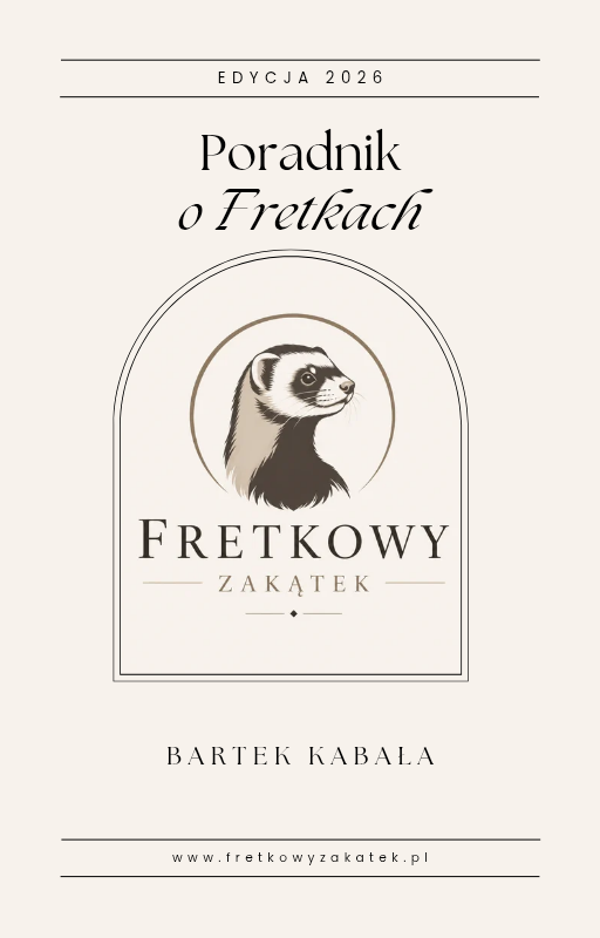 Kompletny poradnik o fretkach [Edycja 2026]