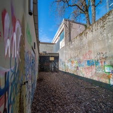 dsc_2137.jpg
