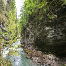 dsc_4315.jpg