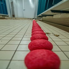 dsc_2294.jpg
