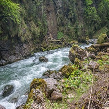 dsc_4296.jpg
