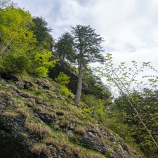 dsc_4286.jpg