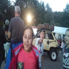 fotobosfts23119.jpg