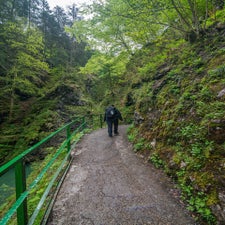 dsc_4272.jpg
