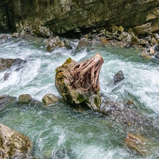 dsc_4304-2.jpg