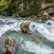 dsc_4304.jpg