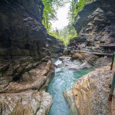 dsc_4366.jpg