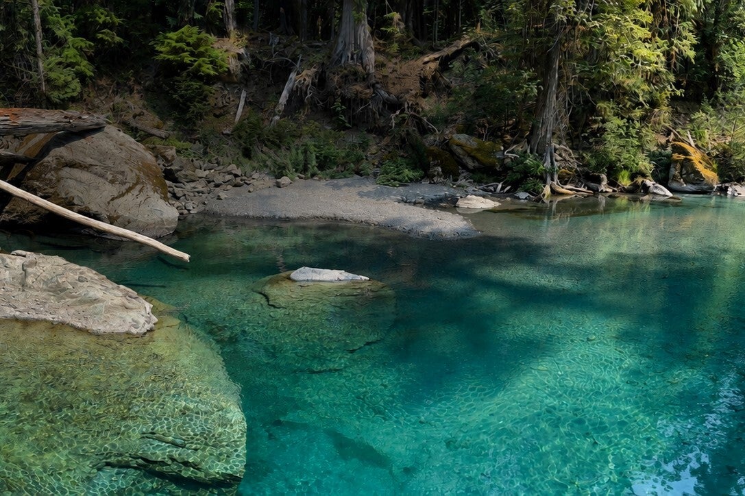 Emerald Sanctuary