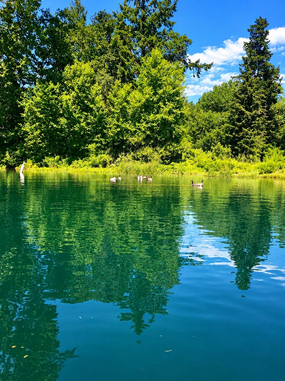 Emerald Stillness