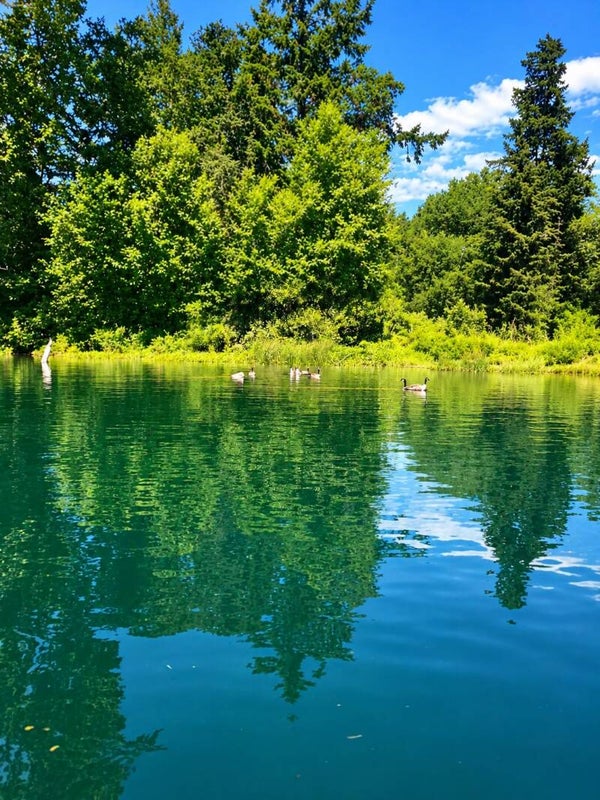 Emerald Stillness