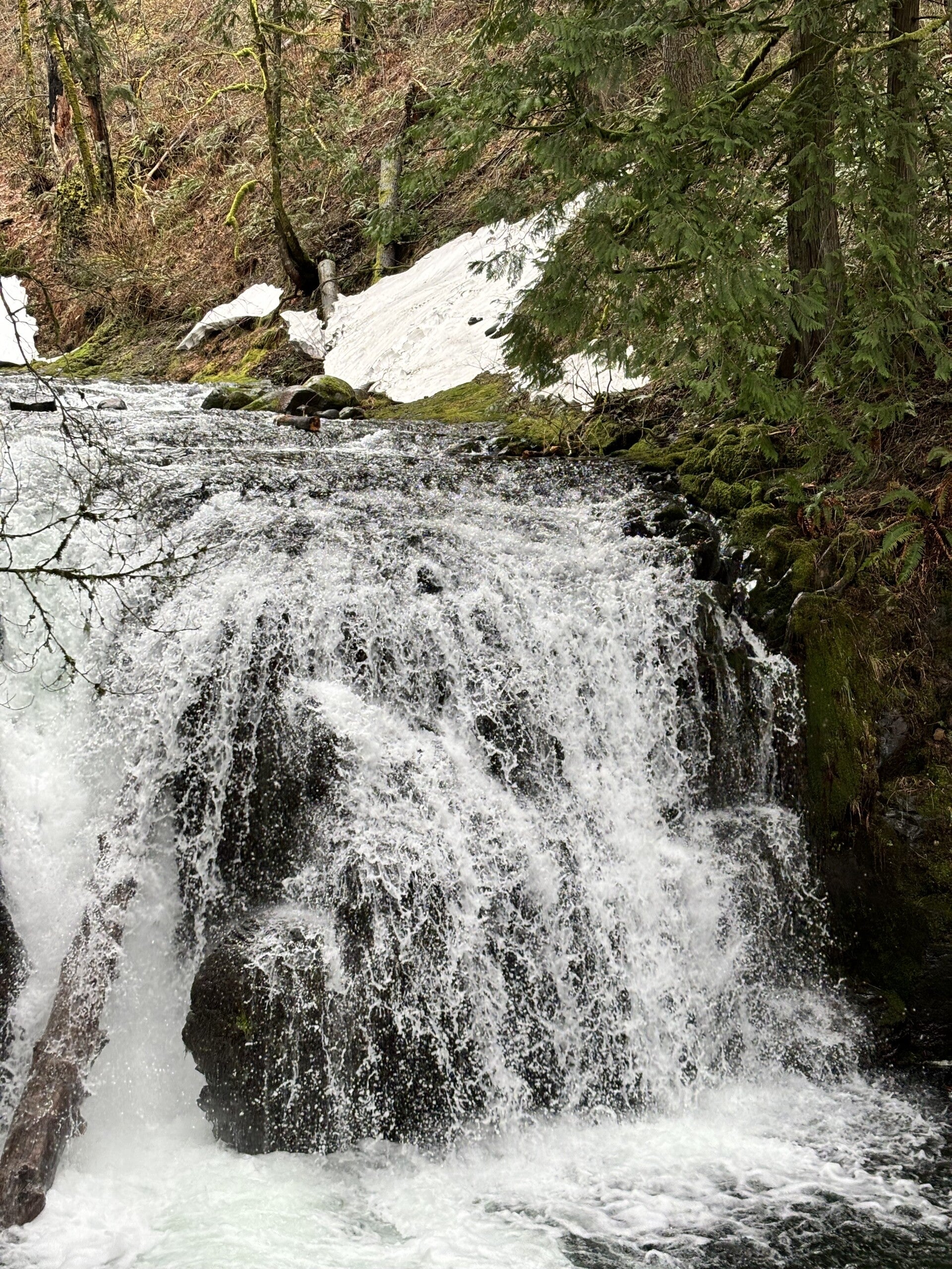 Hidden Falls