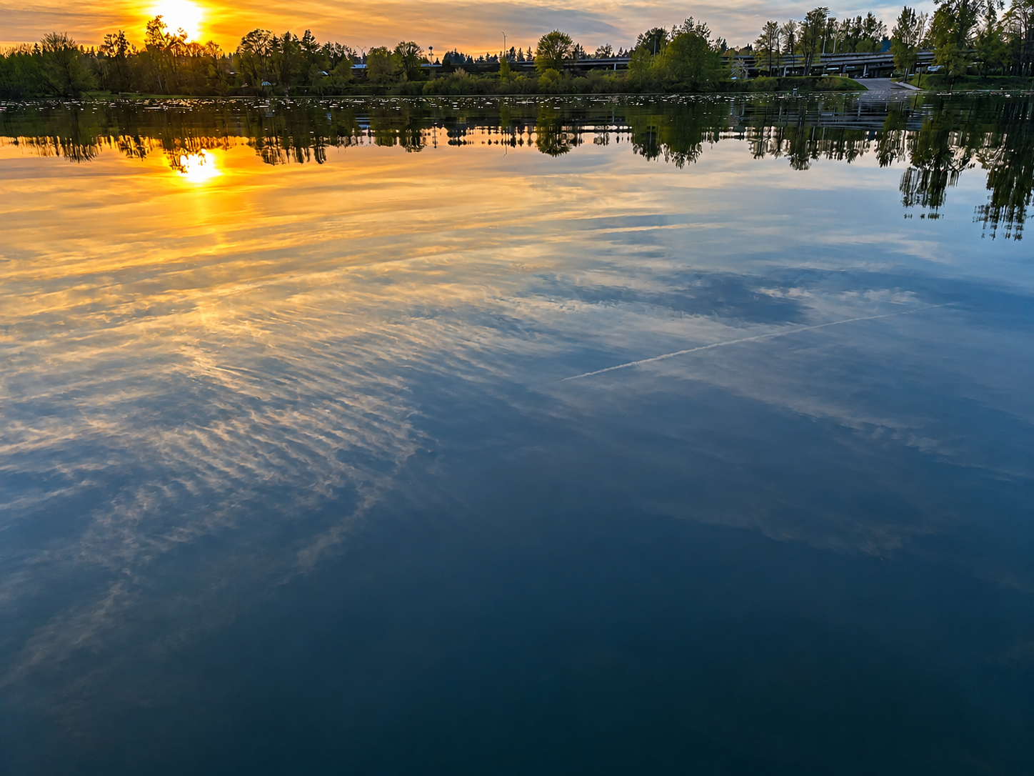 Golden Stillness