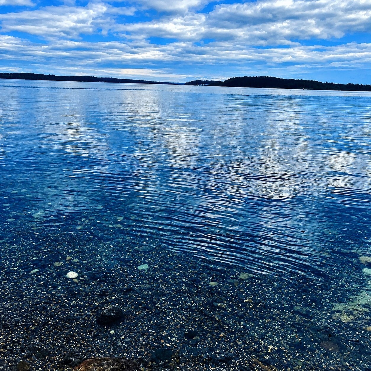 Into the Blue
