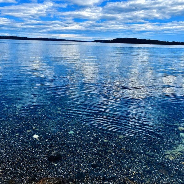 Into the Blue