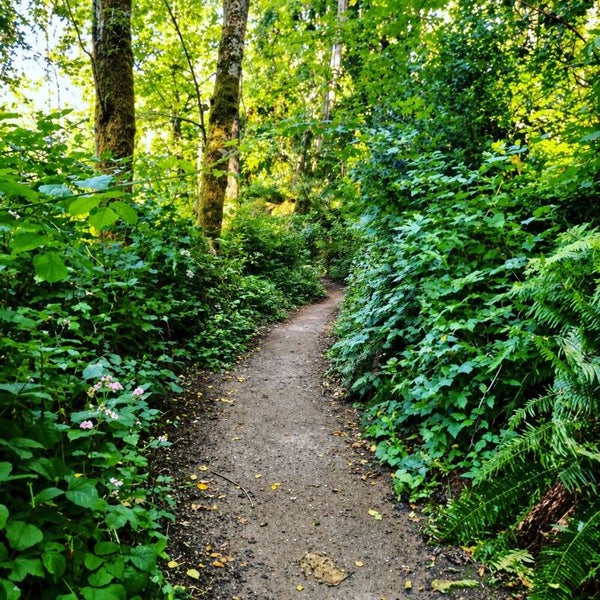 Into the Green