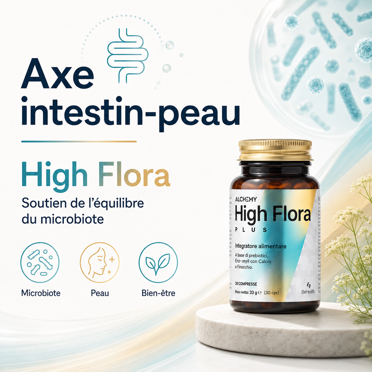 Infographie sur l’axe intestin-peau, le microbiote intestinal et High Flora pour soutenir l’équilibre du microbiote chez les personnes atteintes de psoriasis.