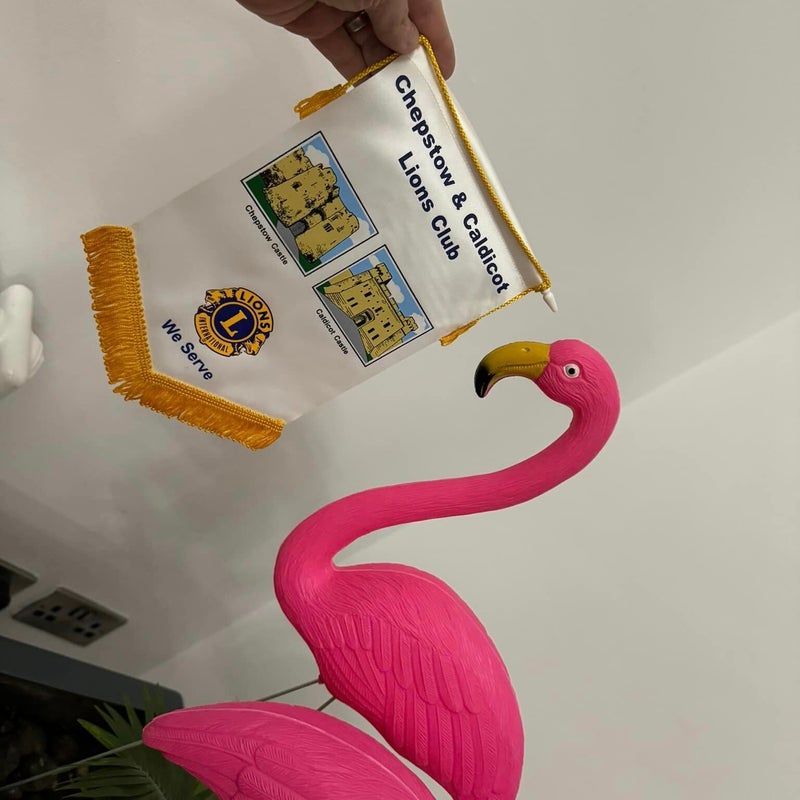 chepstow-flamingo-standard.jpg