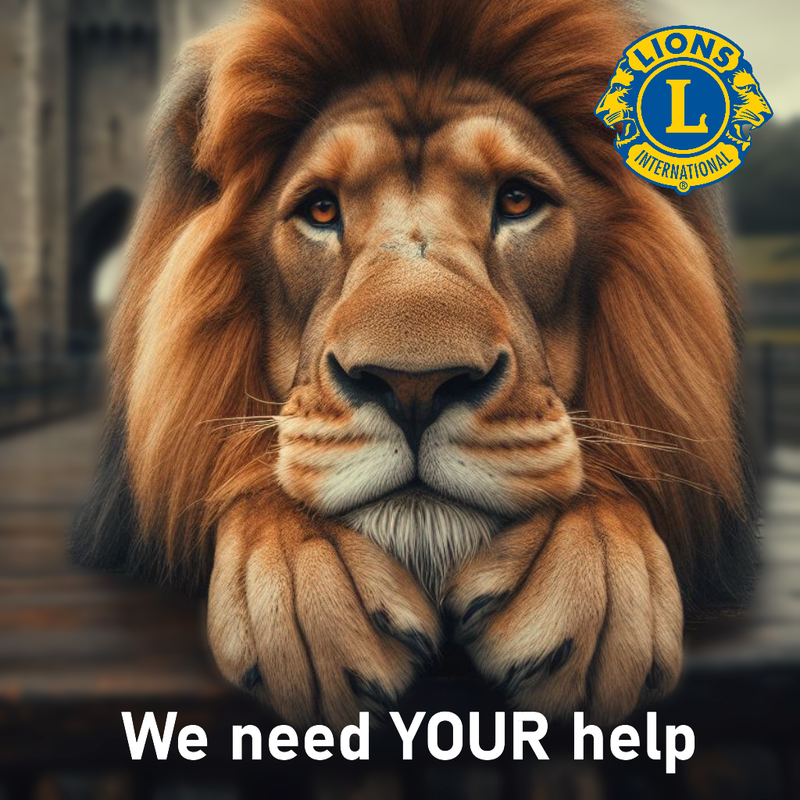 We need your help (AI)