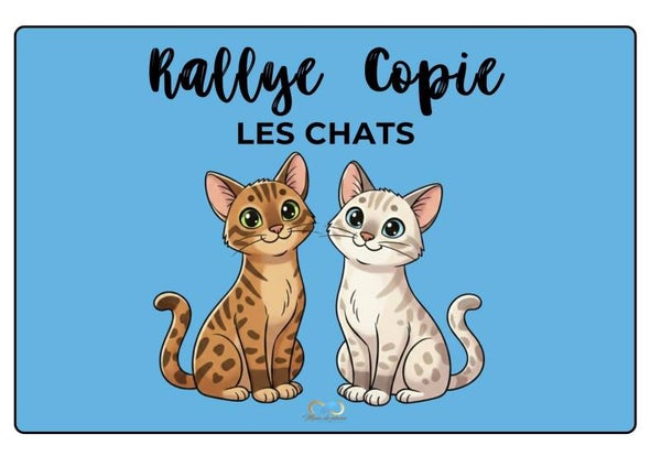 Rallye copie spécial "chat"