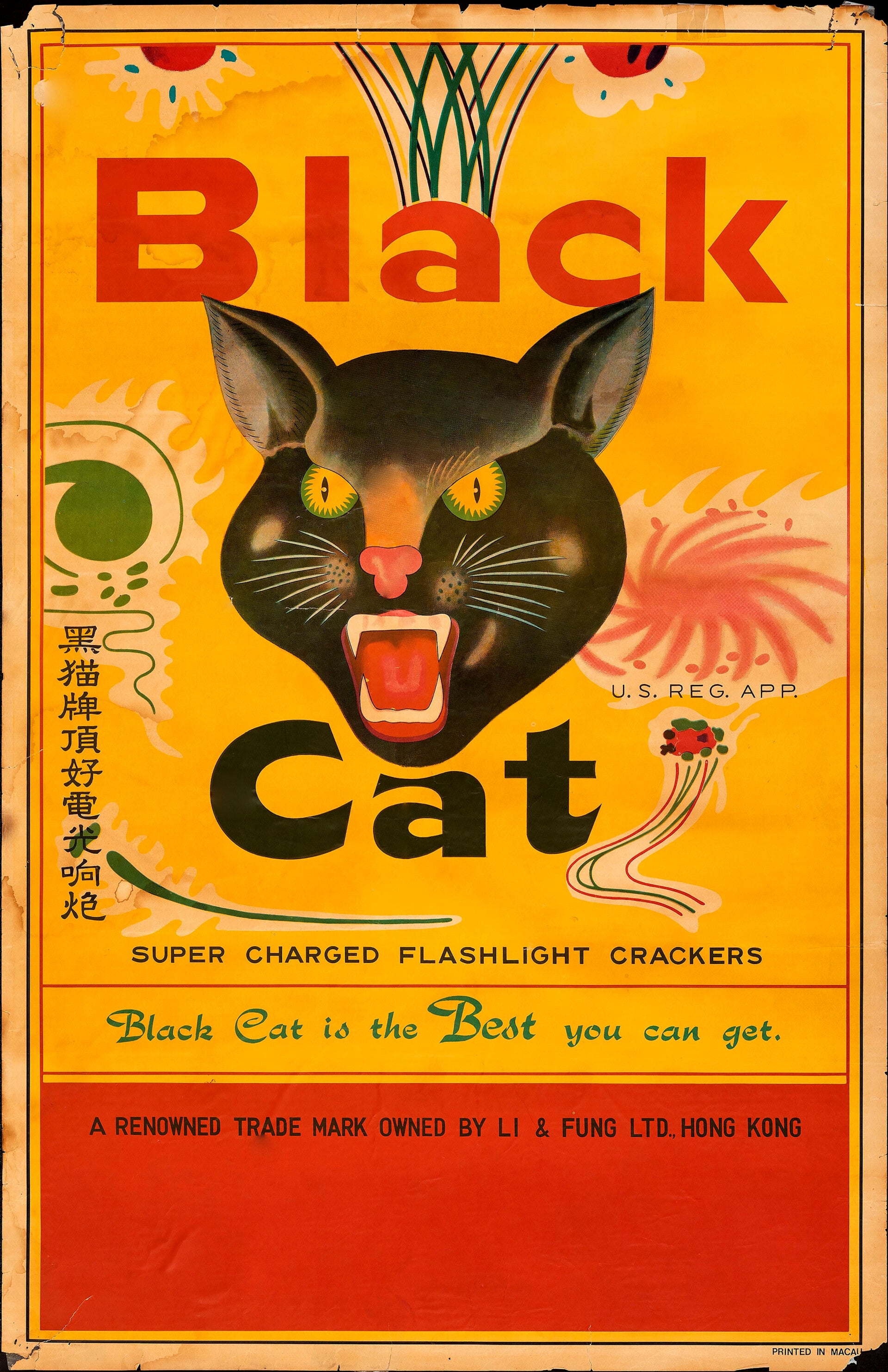 Black Cat