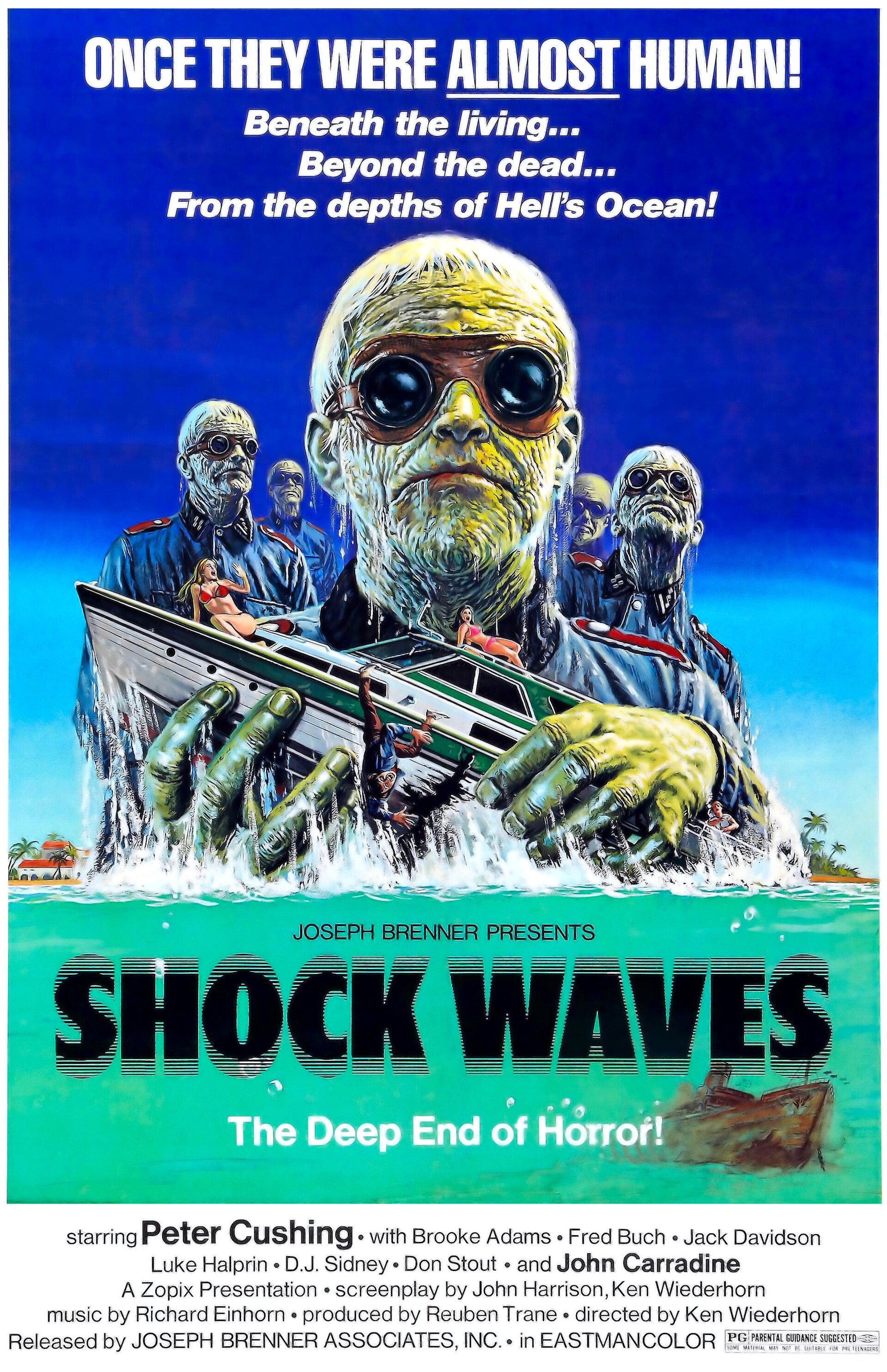 Shock Waves